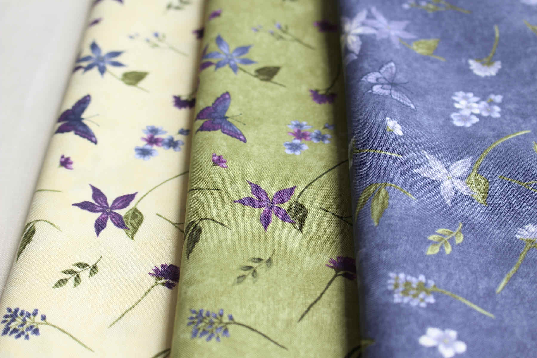 Jcバイオレットヒル　バタフライ